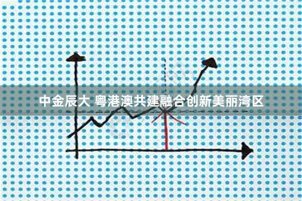中金辰大 粤港澳共建融合创新美丽湾区