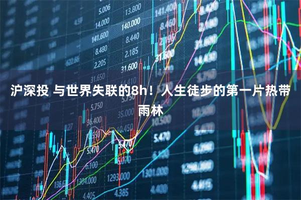沪深投 与世界失联的8h！人生徒步的第一片热带雨林